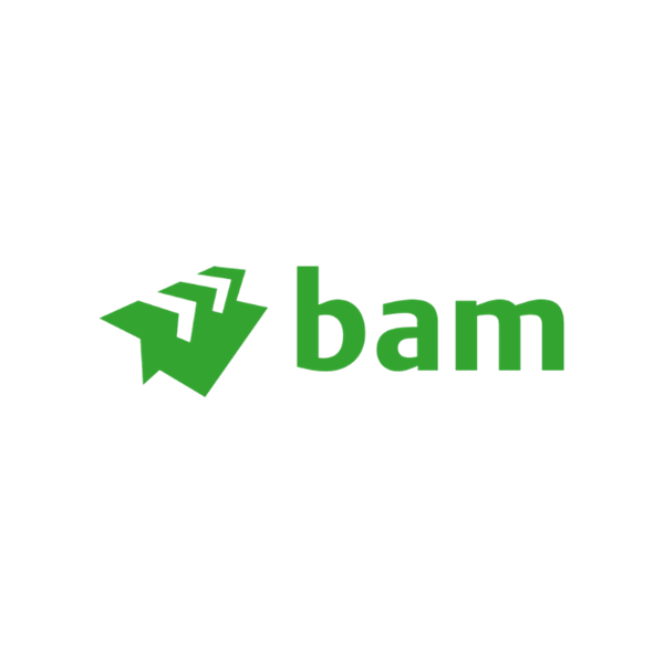 BAM logo